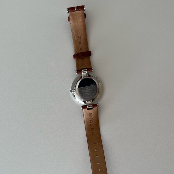 Skagen Tanja Silver Dial Ladies Leather Watch - Picture 6 of 7